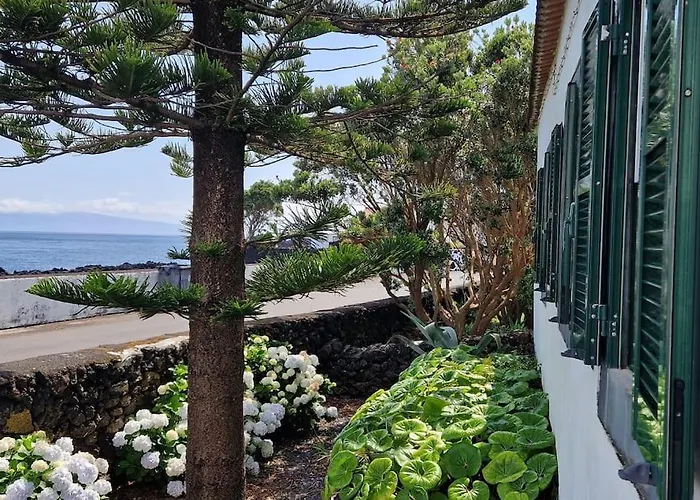 度假居 Terra's Place