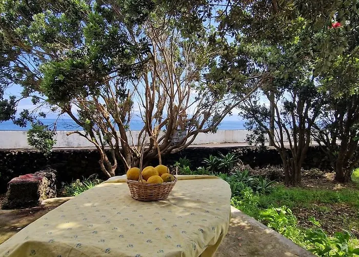 Terra's Place * Santo Amaro (Azores)