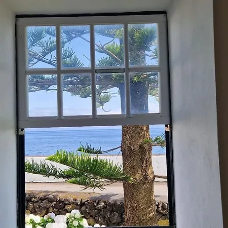 Terra's Place