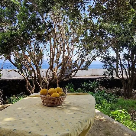 Terra's Place * Santo Amaro (Azores)