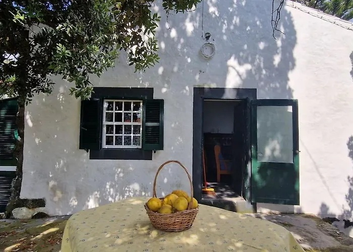 Tatil Evi Terra's Place